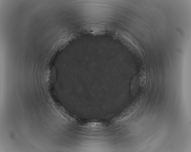 X0000111460748200907271251