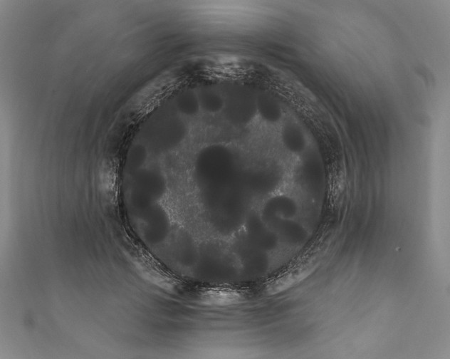 X0000111460749200907271251