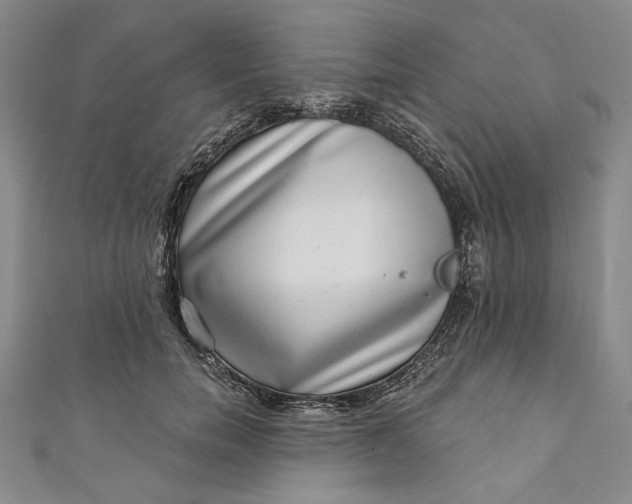 X0000111460750200907271251