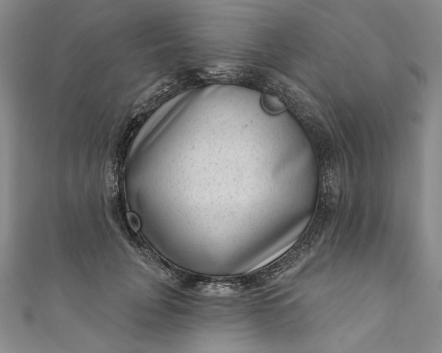 X0000111460751200907271251