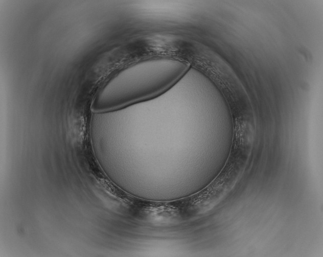 X0000111460752200907271251