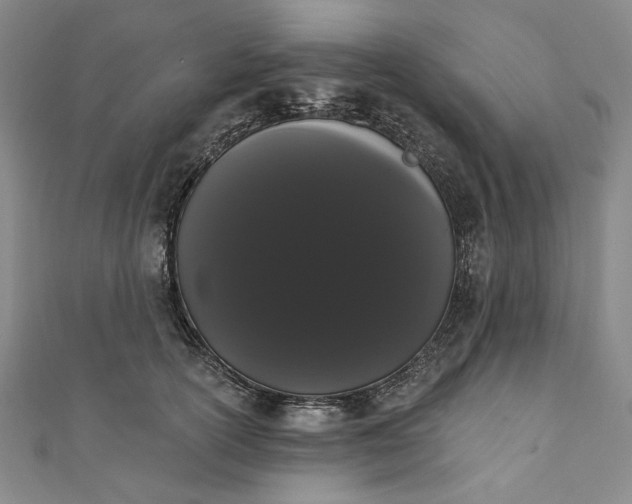 X0000111460754200907271251