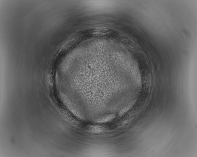 X0000111460755200907271251