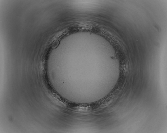 X0000111460756200907271251