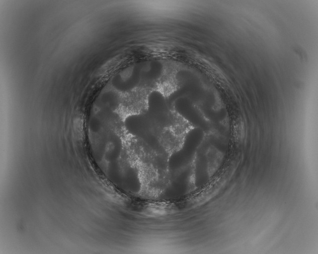 X0000111460757200907271251