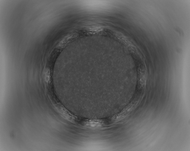 X0000111460758200907271251