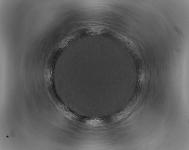 X0000111460759200907271251