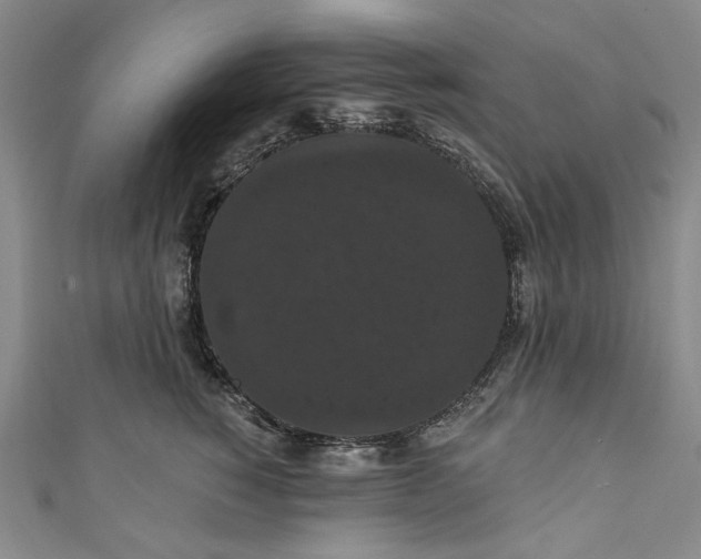 X0000111460760200907271251