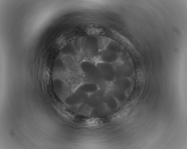 X0000111460761200907271251