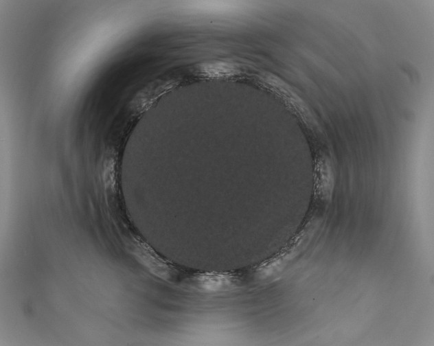 X0000111460762200907271251