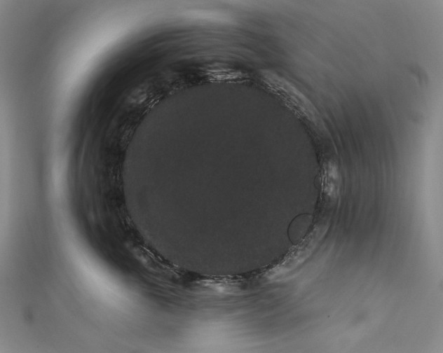 X0000111460763200907271251