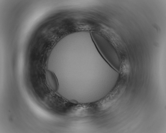 X0000111460764200907271251