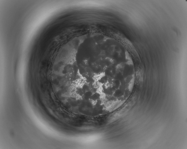 X0000111460765200907271251