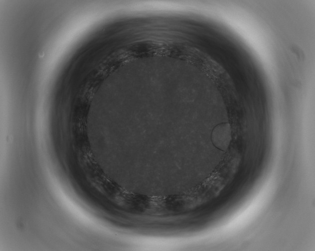 X0000111460766200907271251