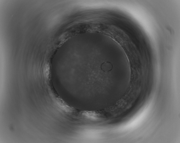 X0000111460767200907271251