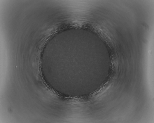 X0000111460769200907271251