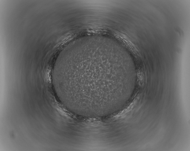 X0000111460770200907271251