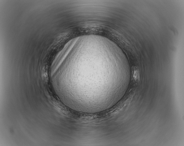 X0000111460771200907271251