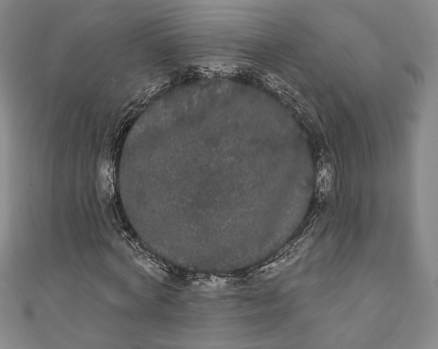 X0000111460772200907271251