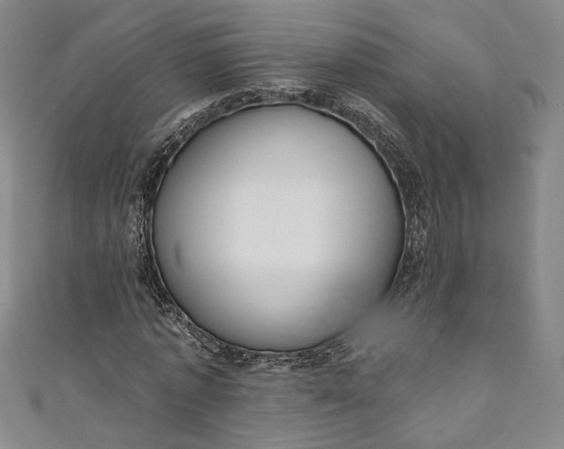 X0000111460773200907271250