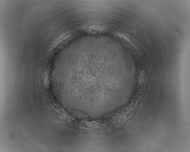 X0000111460774200907271250