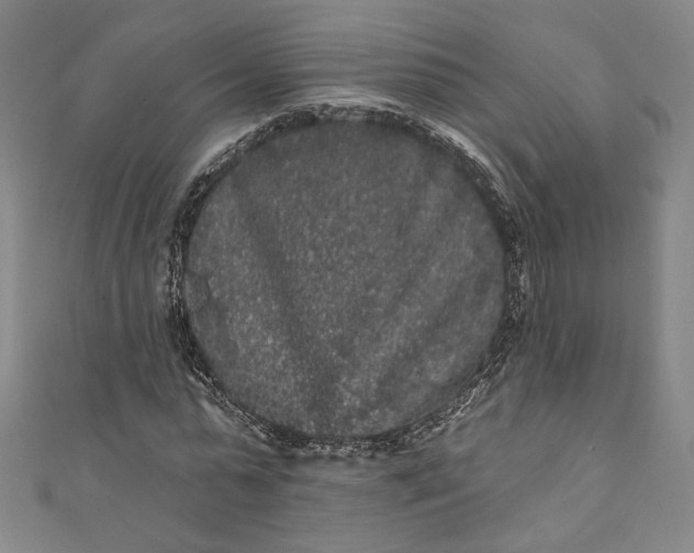 X0000111460775200907271250