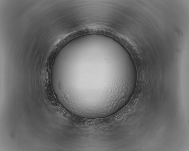 X0000111460776200907271250