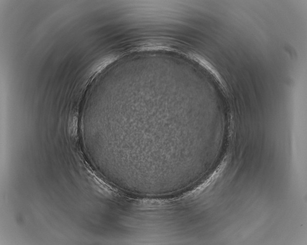 X0000111460777200907271250