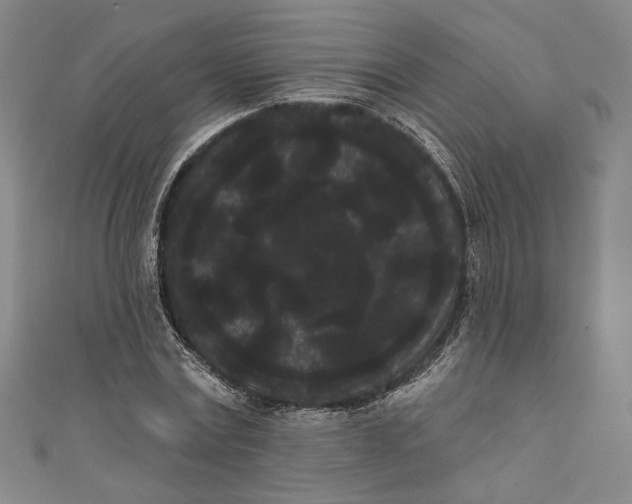 X0000111460779200907271250