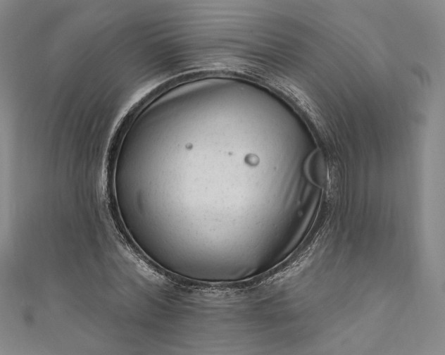 X0000111460780200907271250