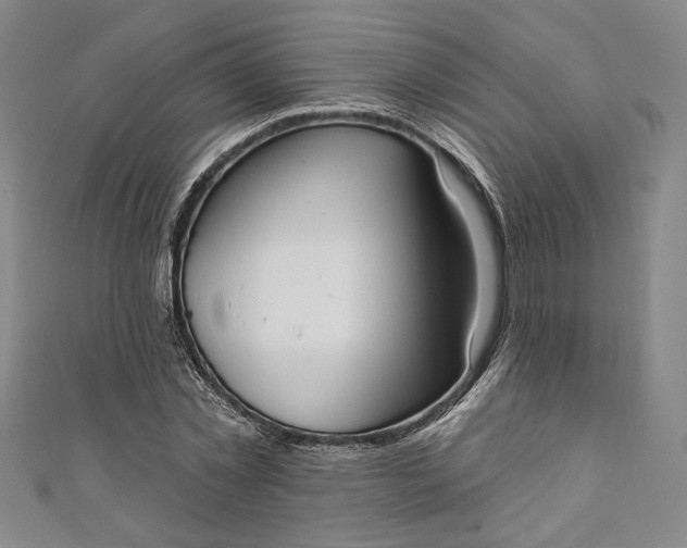 X0000111460781200907271250