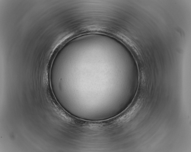 X0000111460782200907271250