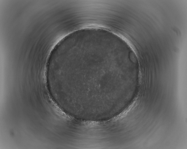 X0000111460783200907271250