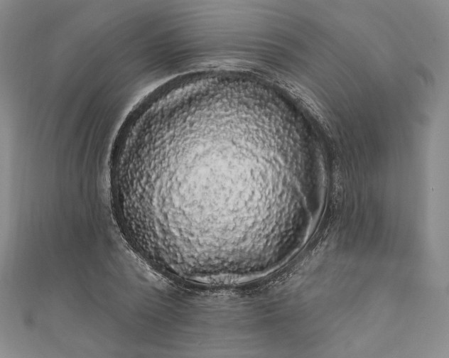 X0000111460784200907271250