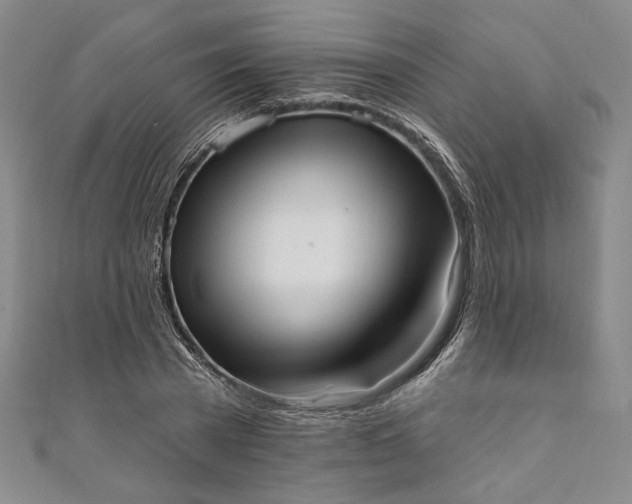 X0000111460785200907271250