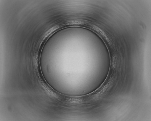 X0000111460786200907271250