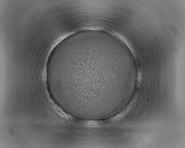 X0000111460787200907271250