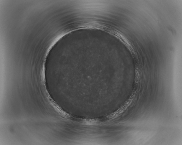 X0000111460788200907271250