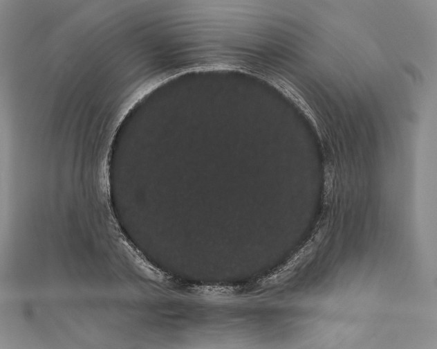 X0000111460789200907271250