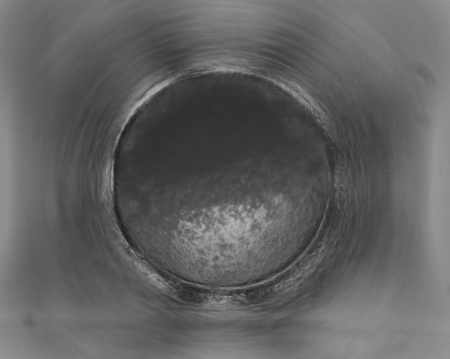 X0000111460790200907271250