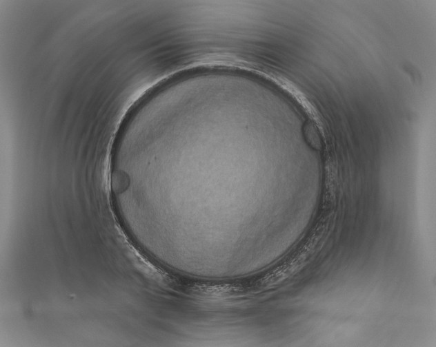 X0000111460791200907271250