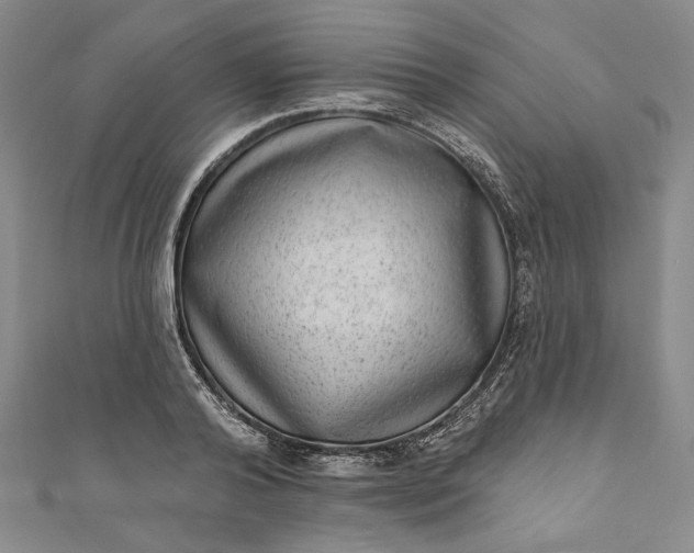 X0000111460792200907271250