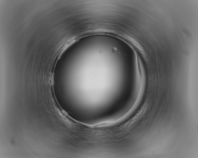 X0000111460793200907271250