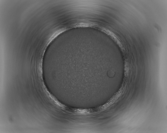 X0000111460794200907271250