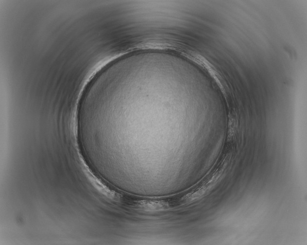 X0000111460795200907271250