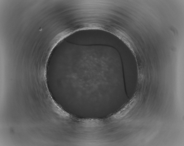 X0000111460797200907271250