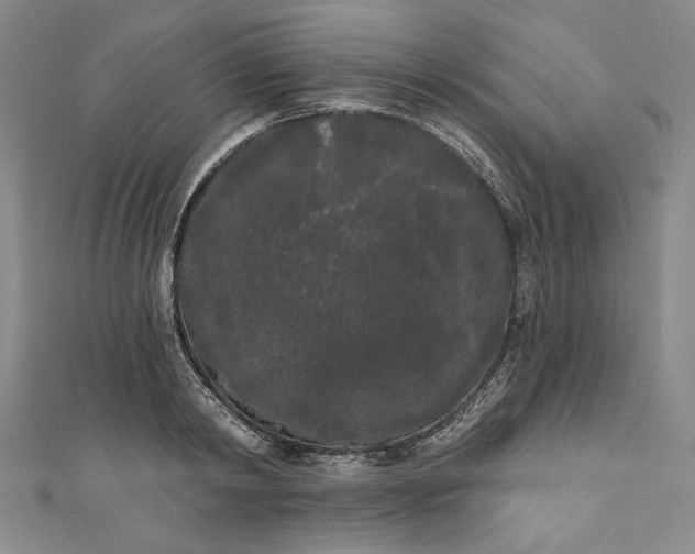 X0000111460798200907271250