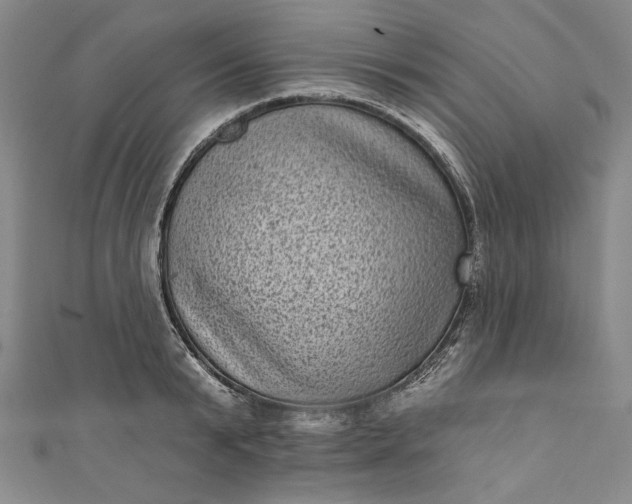 X0000111460799200907271250