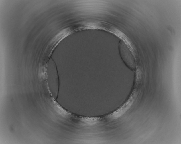 X0000111460801200907271250