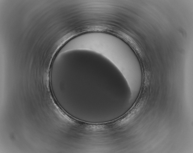 X0000111460802200907271250